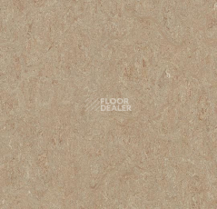 Линолеум Forbo Marmoleum Decibel on Order 580335 weathered sand фото 1 | FLOORDEALER
